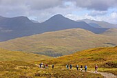 Great Britain, Scotland, West Highland Way, The Kingshouse-Kinlochleven trail, Mamore mountains