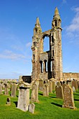 Great Britain, Scotland, St Andrews, The cemetery and ruins of the cathedral