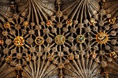 Great Britain, Scotland, Edinburgh, Royal Mile, St Giles cathedral, Thistle chapel, Gothic style ceiling