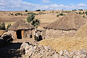 Ethiopia, Welo province, Shewa Robit village