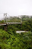 Misty forest surrounding San Isidro de Pe–as Blancas Suspension Bridge over Rio Pe–as Blancas in Costa Rica