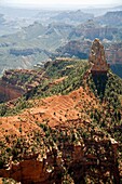 Grand Canyon National Park, Arizona - Mount Hayden, near Point Imperial on the North Rim of the Grand Canyon  © Jim West