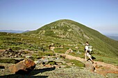 Appalachian Trail   Solo hiker makes his way along the Crawford Path during the summer months  Located in the White Mountains, New Hampshire USA   Mount Eisenhower is straight ahead   Model Release  Yes  Reference number 103