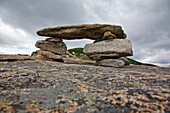 Baldface Circle Trail during the summer months  Located in the White Mountains, New Hampshire USA