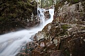 Crawford Notch   Beecher Cascade during the spring months  Located on Crawford Brook next to the  Avalon Path in Bethlehem, New Hampshire USA