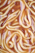 spaghetti tinned pasta