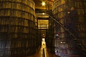 Wine cellar  La Rioja  Spain