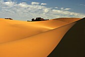 Oued Tin Tarabine  Tassili Ahaggar  Sahara desert  Algeria