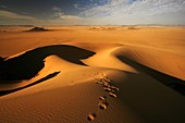 Desolate landscape in Oued Tin Tarabine  Tassili Ahaggar  Sahara desert  Algeria