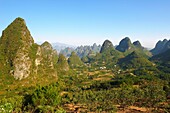 Chine, Province du Guangxi, region de Guilin, montagnes en forme de pains de sucre, region de Yangshuo // China, Guangxi province, Guilin, Karst Mountain Landscape around Yangshuo