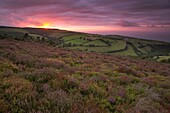 Sunset over Exmoor National Park Somerset