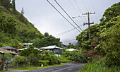 Häuser und Regenwald im Iao Valley, Insel Maui, Hawaii, USA, Amerika