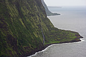 View at ocean and steep coast, Big Island, Hawaii, USA, America