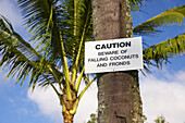 Warnschild an einer Palme in Kapa' au, Big Island, Hawaii, USA, Amerika