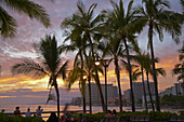 Menschen und Palmen am Waikiki Beach bei Sonnenuntergang, Honolulu, Oahu, Hawaii, USA, Amerika