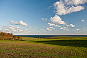 Landschaft bei Dänisch Nienhof, Schleswig-Holstein, Deutschland
