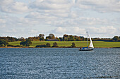 Sailboat on Schlei, Baltic Sea, Schleswig-Holstein, Germany