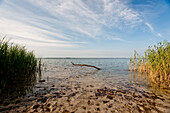 Bodden scenery, Bodstedt, Mecklenburg-Vorpommern, Germany