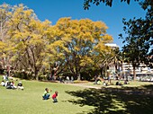 Namibia - The green lawns of the Zoo Park in the centre of Namibia's capital Windhoek