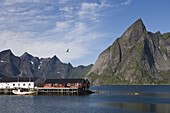 Fischerboot und Fischfabrik nahe Hamnoy, Moskenesoy, Lofoten, Norwegen, Europa