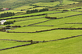 Beenoskee Hügel, Dingle-Halbinsel, County Kerry, Irland