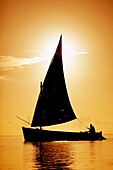 Dhow off the Coast of Mozambique at Vilanculos