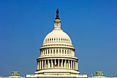 Central dome of the United States Capitol, Washington, D C , USA