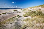 Sand Dunes and empty beach, Texel Island, Holland