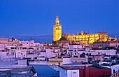 Cathedral and the roofs of the city  Seville, Andalusia, Spain