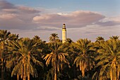 Tozeur Oasis  Minaret of Sidi Abdallah Bou Jemra