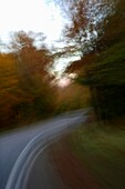 Motion Blurred Road