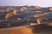 Sand Dunes in the Rub al-Khali    Asia, Arabia, United Arab Emirates, Arabian Peninsula