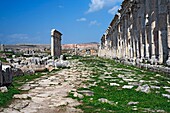 Roman city Apamea, Syria