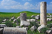 Roman city Apamea, Syria