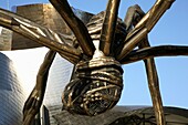 Spider Sculpture by Bourgeois outside Guggenheim Museum, Bilbao, Basque Country, Spain