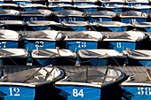 Blue Boats in Retiro Park, Madrid, Spain