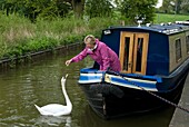 Woman feeding a goose, Llangollen Canal, England, UK