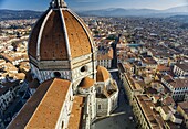 The Basilica di Santa Maria del Fiore  Duomo).Florence, Tuscany region, Italy