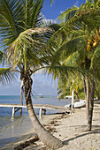 Beach at The Moorings jetty, Placencia, Belize