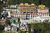 Druk Sangag Choeling Monastery known as Dali Monastery, Darjeeling, West Bengal, India