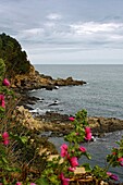 Panorama on the mediterranean sea from a cliff on the Costa Brava