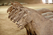 Archäologie, Armee, Asien, China, Detail, Details, Farbe, Geschichte, Horizontal, Innen, Kopf, Köpfe, Krieger, Kunst, Länder, Macht, Mausoleum, Pferd, Pferde, Plätze der Welt, Shaanxi, Shanxi, Shensi, Sian, Skulptur, Skulpturen, Statue, Statuen, Terrakott