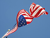Allegiance, American, Color, Colour, Pledge, Pride, Salute, XZ4-885843, agefotostock 