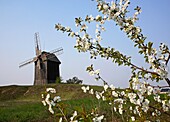 Old Wooden Windmills, Moraczewo, Cednicki Park, Wielkopolska, Poland