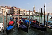 Italy, Venice, Grand Canal, gondolas