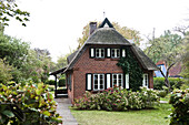 House with reed thatched roof in Hohwacht, Ostsee, Schleswig-Holstein, Germany