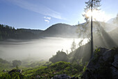 Sonne strahlt durch Nebel, Nationalpark Berchtesgaden, Steinernes Meer, Berchtesgadener Alpen, Berchtesgaden, Oberbayern, Bayern, Deutschland