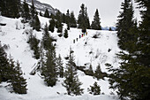 Group of skiers ascending, Flims, Canton of Grisons, Switzerland