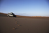 Foot prints in the sand, woman standing in front of a Toyota Landcruiser, Murzuk sand sea, Lybia, Africa