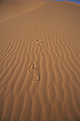 Foot prints in the sand, Murzuk sand sea, Lybia, Africa